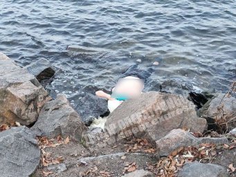 ​В реке возле Южного моста обнаружили труп женщины