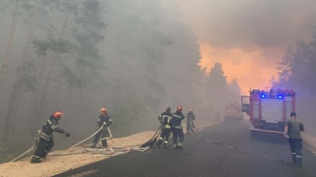 В лесных пожарах на Луганщине погибли, минимум, 5 человек