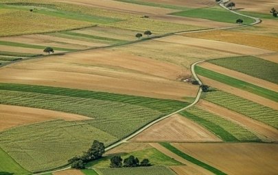 ​В Украине незаконно приватизировали более 5 млн га