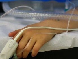 В Днепре малыш, которого покусали овчарки, скончался в реанимации В Днепре малыш, которого покусали овчарки, скончался в реанимации