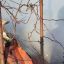У Запорізькому районі сталася смертельна пожежа у садовому товаристві