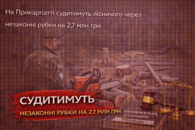 На Прикарпатті судитимуть лісничого через незаконні рубки на 2,7 млн грн