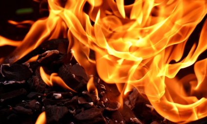 На Чернігівщині згоріли 5 тонн кормів через пожежу в сіннику