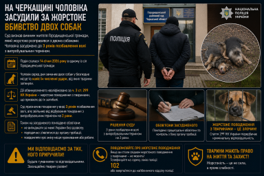 На Черкащині чоловіка засудили за жорстоке вбивство двох собак На Черкащині чоловіка засудили за жорстоке вбивство двох собак