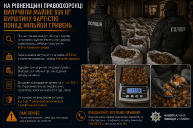 На Рівненщині правоохоронці вилучили майже 656 кг бурштину вартістю понад мільйон гривень На Рівненщині правоохоронці вилучили майже 656 кг бурштину вартістю понад мільйон гривень