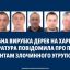 На Харківщині «чорні лісоруби» завдали збитків на 2 мільйони гривень