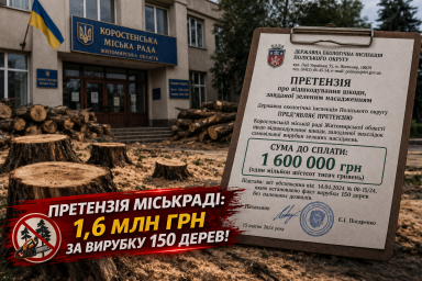 У Коростені міськраді виставили претензію на 1,6 млн грн за вирубку 150 дерев