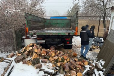 На Дніпропетровщині посадовець лісгоспу вимагав хабар за деревину