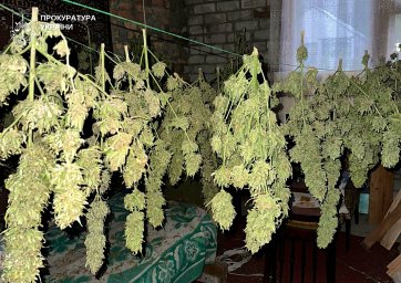 У Запоріжжі 10 осіб постануть перед судом за організацію масштабного наркобізнесу