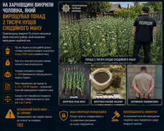На Харківщині викрили чоловіка, який вирощував понад 2 тисячі кущів снодійного маку