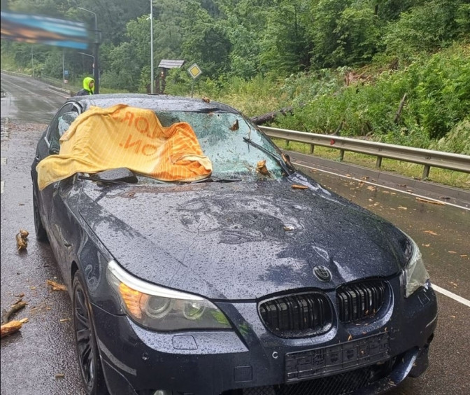 Під Львовом дерево впало на BMW під час руху: постраждала 17-річна пасажирка