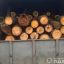 На Лебединщині виявили незаконну вирубку лісу