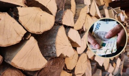 У ЗСУ викрили схему з закупівлею дров на 90 млн грн