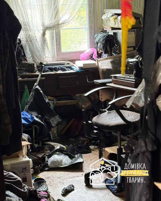 На Львівщині у приватному будинку виявили тіло жінки, яка померла близько двох місяців тому. Увесь цей час п’ятеро її котів були зачинені разом із нею — вижила лише одна тварина.