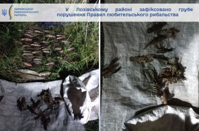 На Харківщині затримали нічних браконьєрів – збитки склали понад 166 тисяч гривень