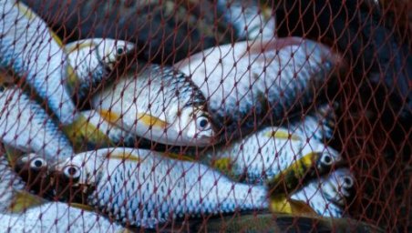На Харківщині пенсіонер виловив штраф на 36 тис. грн