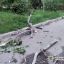 Полтавська громада сплатить за лікування дитини, на яку впала гілка з дерева
