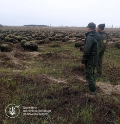 На Рівненщині невідомі спалили 17 гектарів у нацпарку