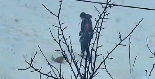 У Харкові поліція розшукує підлітка за відео з імовірним знущанням над собакою