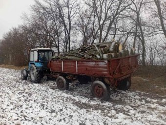 На Кіровоградщині виявлено незаконну вирубку лісу на півмільйона гривень