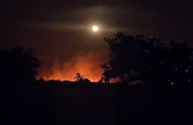 Пожежа на Полтавщині знищила понад 90 гектарів лісу та завдала шкоди сільському господарству
