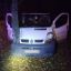У Сумах п’яний водій Renault Trafic врізався в дерево