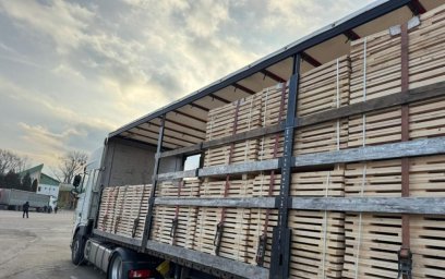 На Закарпатті викрили схему незаконного вивезення лісоматеріалів на суму понад 400 тисяч гривень
