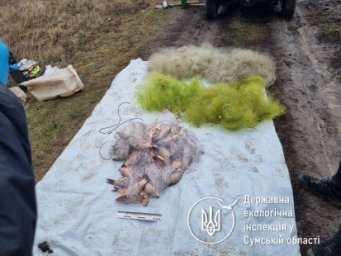 На Сумщині затримано "професійного" браконьєра з великим уловом