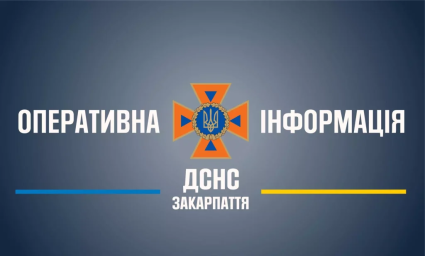 На Хустщині знайшли мертвим чоловіка, який зник майже два тижні тому