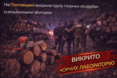 На Полтавщині викрили групу &laquo;чорних лісорубів&raquo; із мільйонними збитками