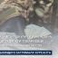 На Львівщині курсант намагався підкупити викладача за $2500