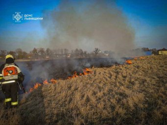 На Львівщині за добу сталося 150 пожеж в екосистемах: гинуть тварини та горять будівлі