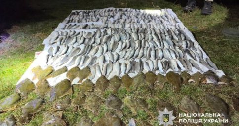 На Одещині браконьєр спіймав риби на понад 8 мільйонів гривень збитків