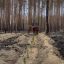 У Лиманській громаді на Донеччині розмінували 1200 гектарів лісу