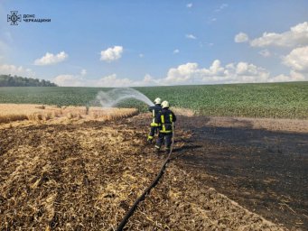 На Черкащині внаслідок пожеж згоріло 7 гектарів врожаю