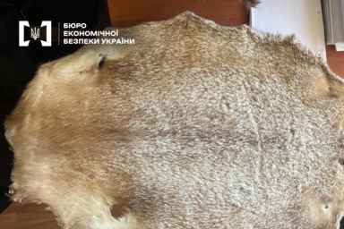 На Закарпатті судитимуть керівника підприємства за контрабанду хутра на понад 11 млн грн