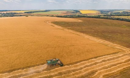 Битва за гектари: на Обухівщині аграрний конфлікт завершився травмами і понівеченою технікою
