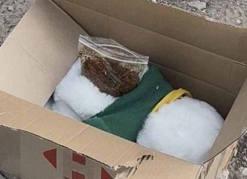 У Миколаєві затримали рецидивіста з наркотиками, схованими в дитячій іграшці