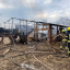 На Дніпропетровщині у пожежі загинули 58 свиней